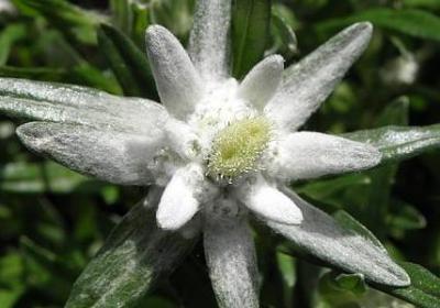 月亮的四字词语(汇总59句)