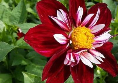 洗洗脸照样子写词语(必备72句)