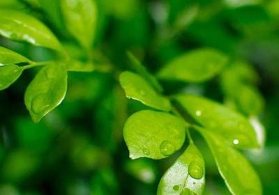 热得像什么填空词语(合集10句)