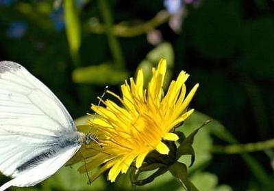 治一治照样子写词语(热门60句)