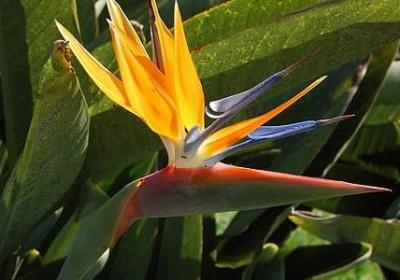 沉默的什么填空词语(热门14句)