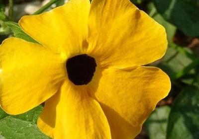 温暖的词语有哪些(实用32句)