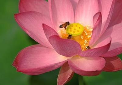 熊熊燃烧 类似词语(合集15句)