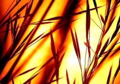 流连忘返的词语(必备51句)