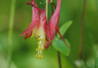 注视的词语有哪些(推荐61句)