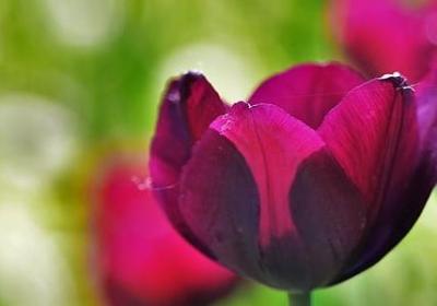 清的四字词语(精选59句)