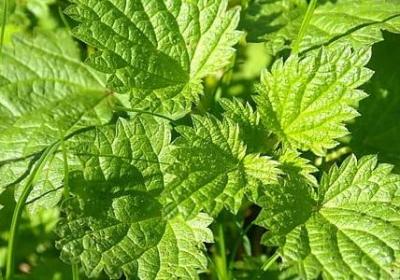 灵巧地什么填空词语(共30句)