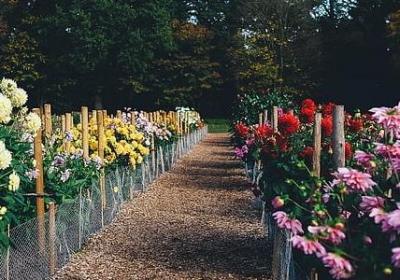 突然去世的词语(80句)