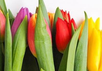 积极奋斗的词语(80句)