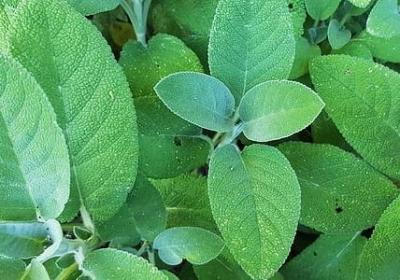 用心字组成的词语填空(共60句)