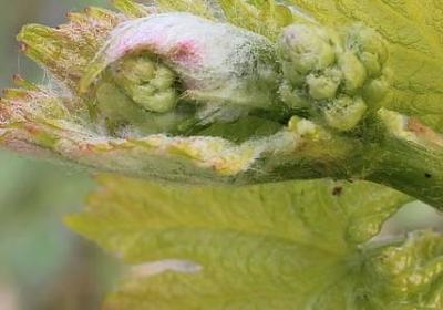 瞻可以组什么词语(共61句) 瞻可以组什么词语(共61句)