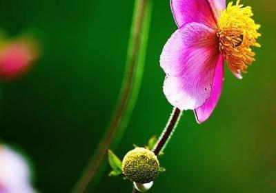 空的四字词语(共50句)