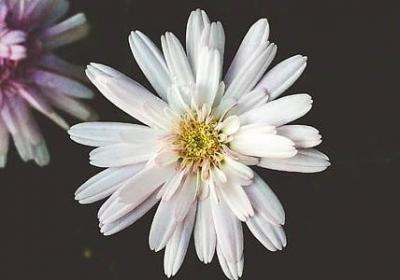 眠可以组什么词语(优选10句)