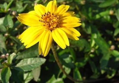 百什么百什么词语四字(合集39句)