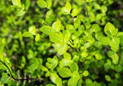 电灯的词语接龙(60句) 电灯的词语接龙(60句)