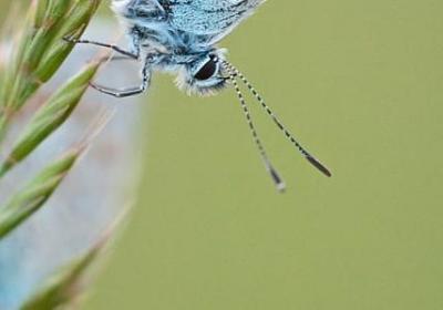 石字加部首组词语(实用40句) 石字加部首组词语(实用40句)