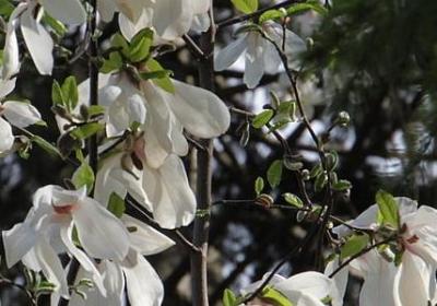 申论词语积累大全(汇总60句)