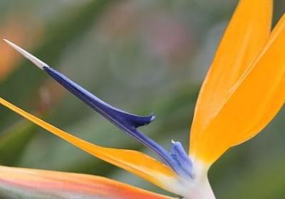 胜利词语接龙(实用62句)