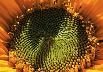 自言自语写词语(精选58句) 自言自语写词语(精选58句)