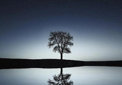 笑得像什么填空词语(汇总40句)