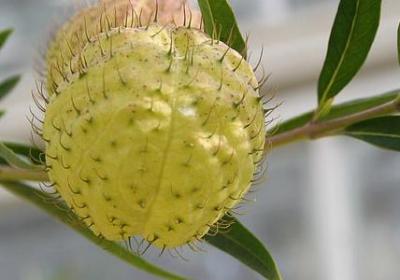 细嚼慢咽照样子写词语(精选50句)