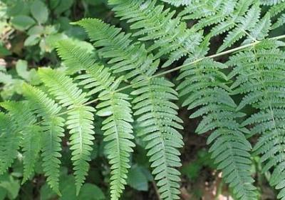 结的拼音组词语(通用68句) 结的拼音组词语(通用68句)