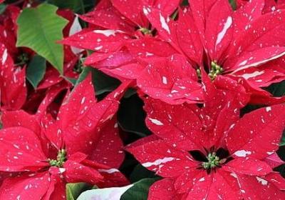 索能组什么词语(推荐36句) 索能组什么词语(推荐36句)