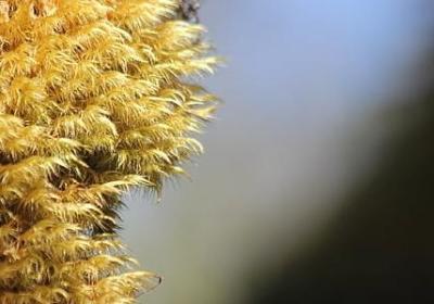 组词四字词语纷(实用20句)