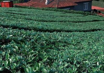 表示庆祝的词语(推荐71句) 表示庆祝的词语(推荐71句)