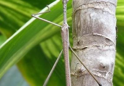 表示清澈的词语(必备119句)