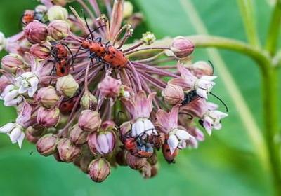 薄组词有哪些词语(必备41句) 薄组词有哪些词语(必备41句)