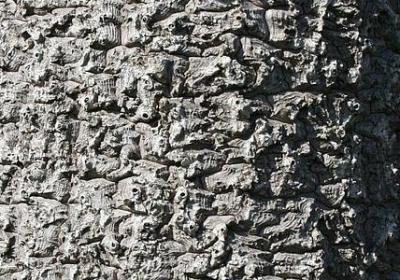 表示脱离危险的词语(通用15句)