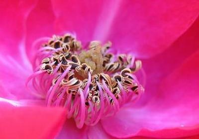 表现好的词语(实用70句)