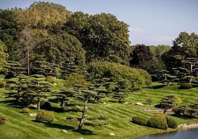 表生气的四字词语(汇总40句)