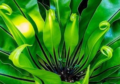 表示看的词语(优选60句)