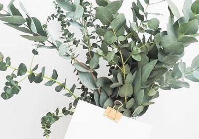 蛇的词语有哪些(8句)