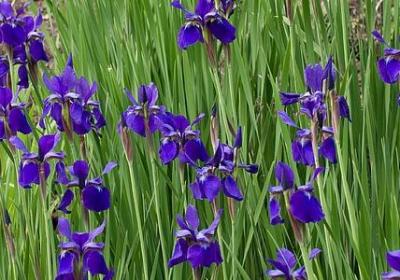 著名的词语解释(73句)