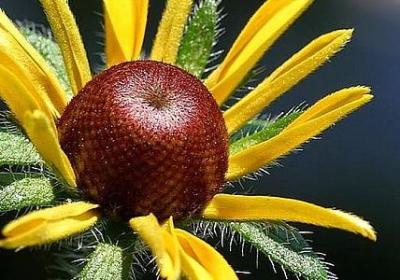 表示绿颜色的词语(合集70句)