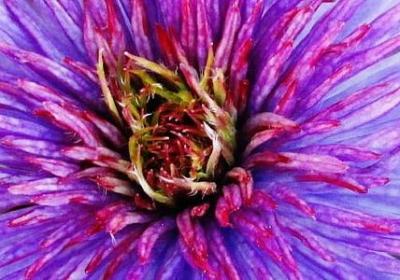 螃组词语有哪些(合集10句)