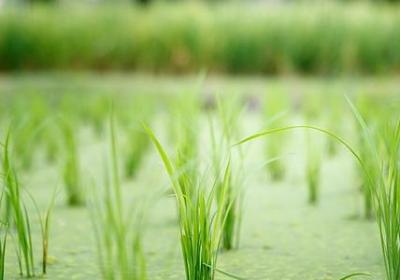 表示嘴动作的词语(通用50句)