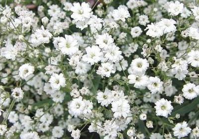 表示说话情态的词语(精选60句) 表示说话情态的词语(精选60句)