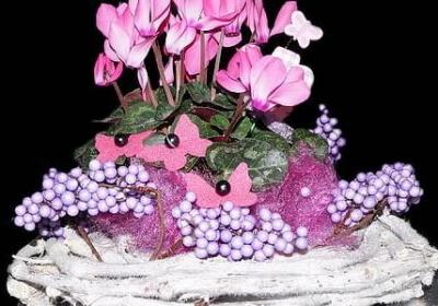 象征美好未来的词语(优选49句) 象征美好未来的词语(优选49句)