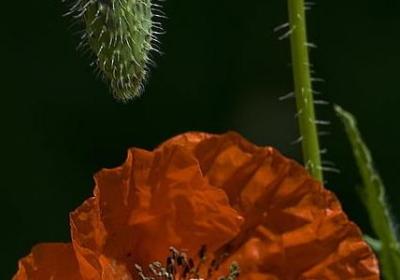 表达谦虚的词语(优选70句) 表达谦虚的词语(优选70句)