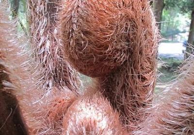 西湖美景的词语(热门41句)