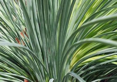 词语感情的色彩是什么(优选8句)