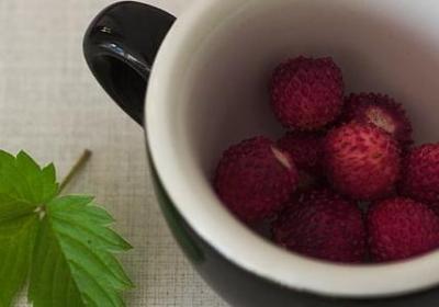 设的四字词语(热门64句)