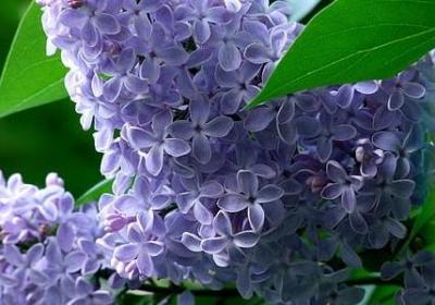 赞美桥梁的词语(实用51句)