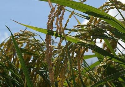 被抛弃的词语(热门50句)