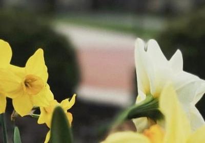 质组词有哪些词语(实用50句)