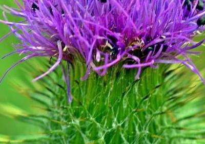 转来转去类似的词语(必备16句)